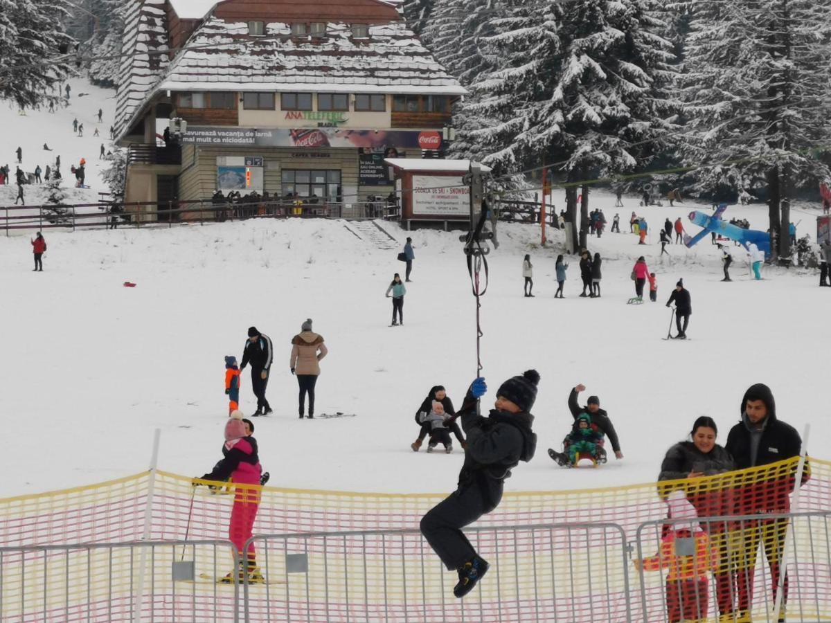 Pension Condor Poiana Brasov Eksteriør bilde