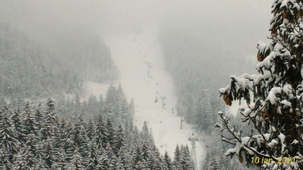 Pension Condor Poiana Brasov Eksteriør bilde